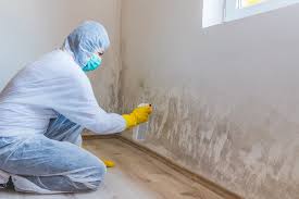 Best Industrial Mold Remediation  in Mason City, IA