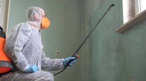 Professional Mold Removal Services in Mason City, IA