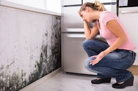 Best Forensic Mold Investigation  in Mason City, IA